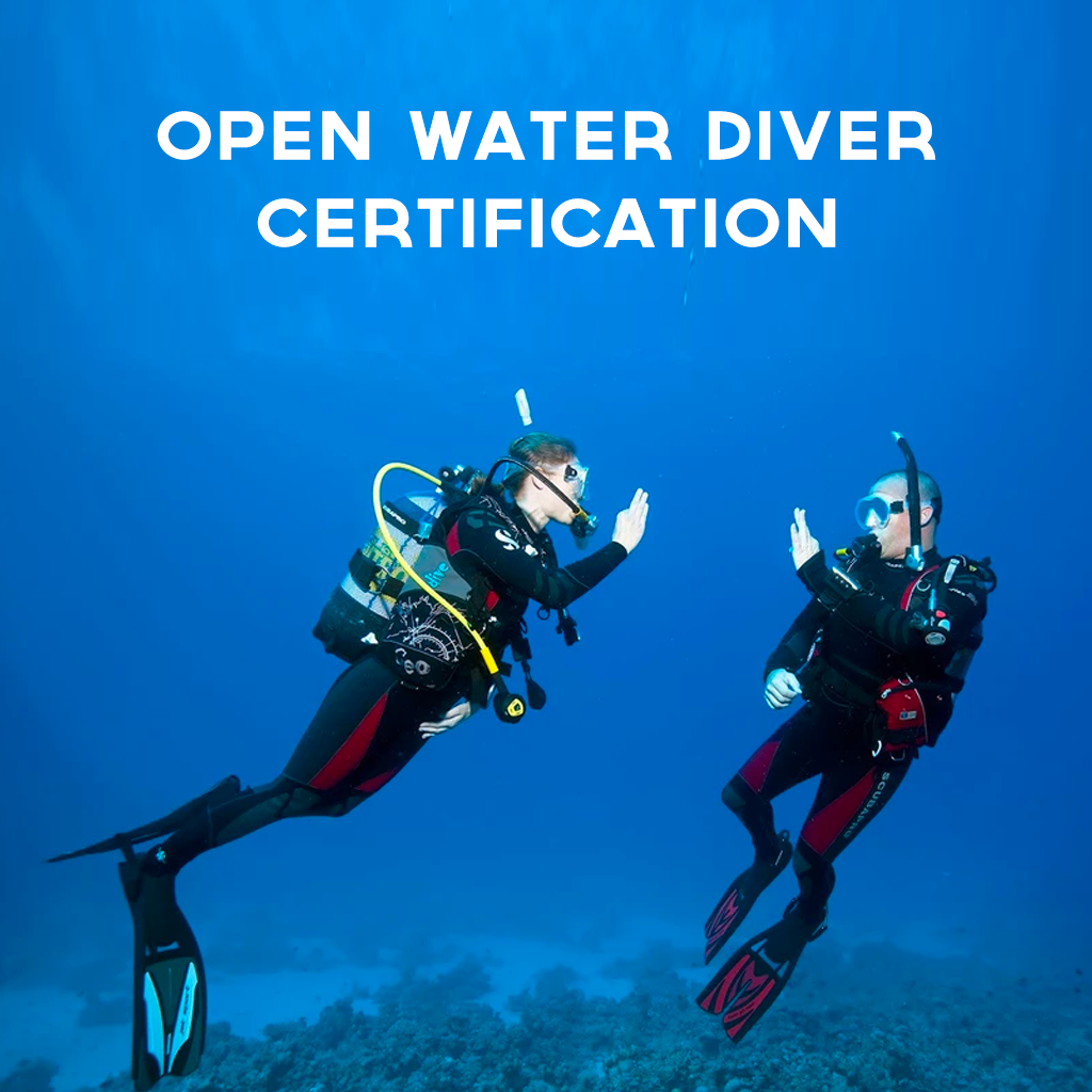 Open Water Diver