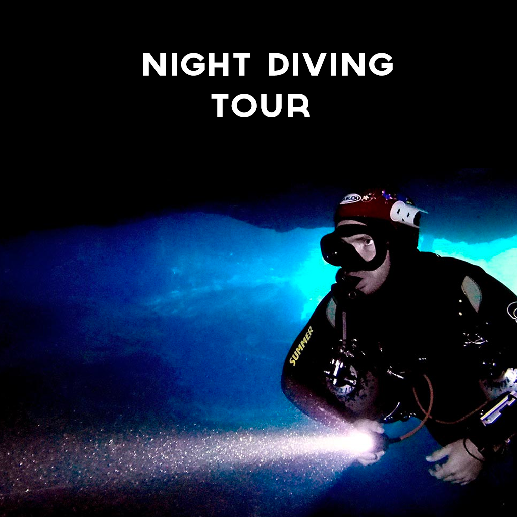 Night Dive